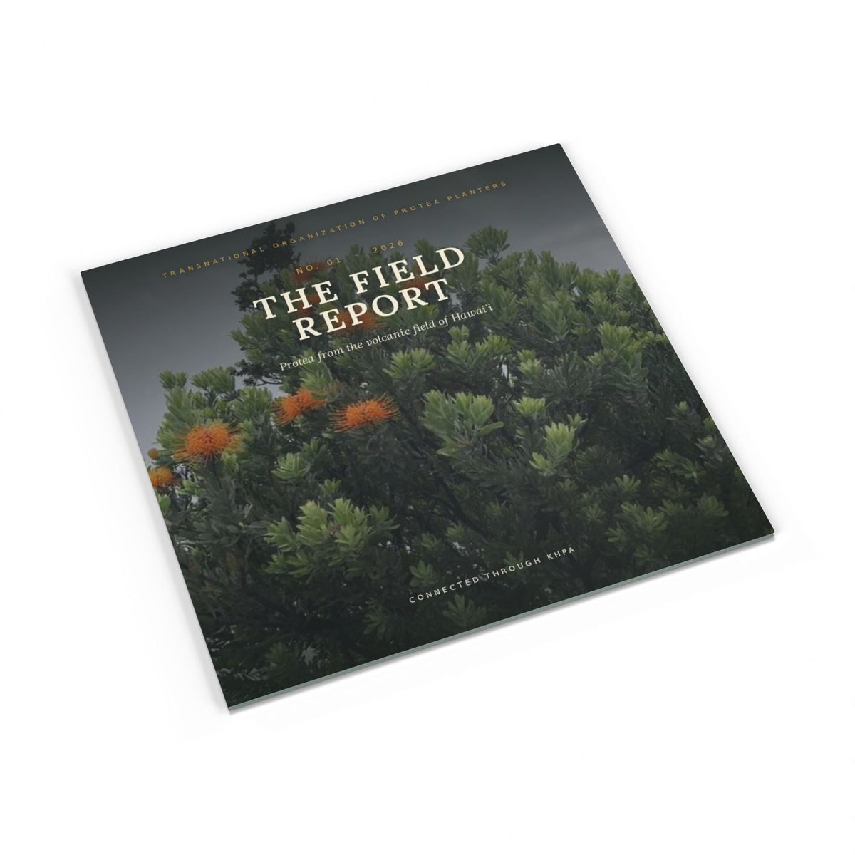 Softcover Photo Book — "The Field Report" Nature Journal Printify