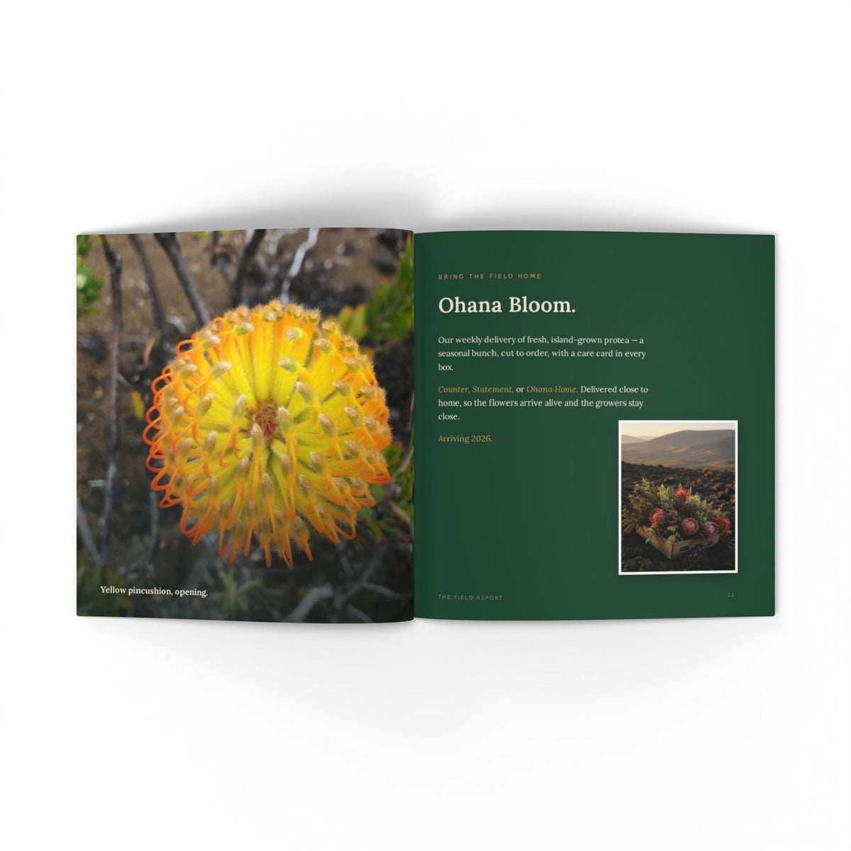 Softcover Photo Book — "The Field Report" Nature Journal Printify