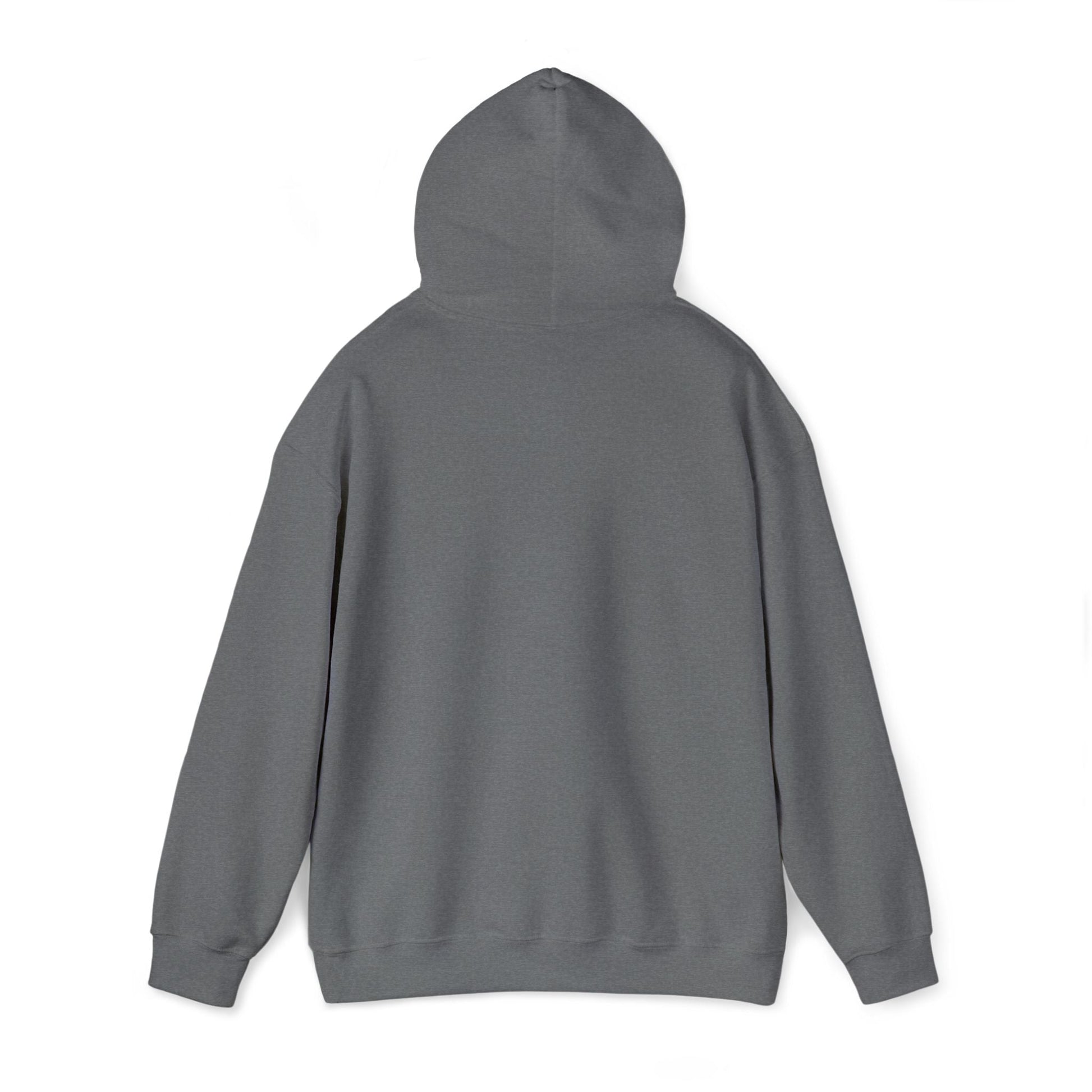 Rastafarian Leaf Block Hoodie – Reggae Colors Graphic Sweatshirt Printify