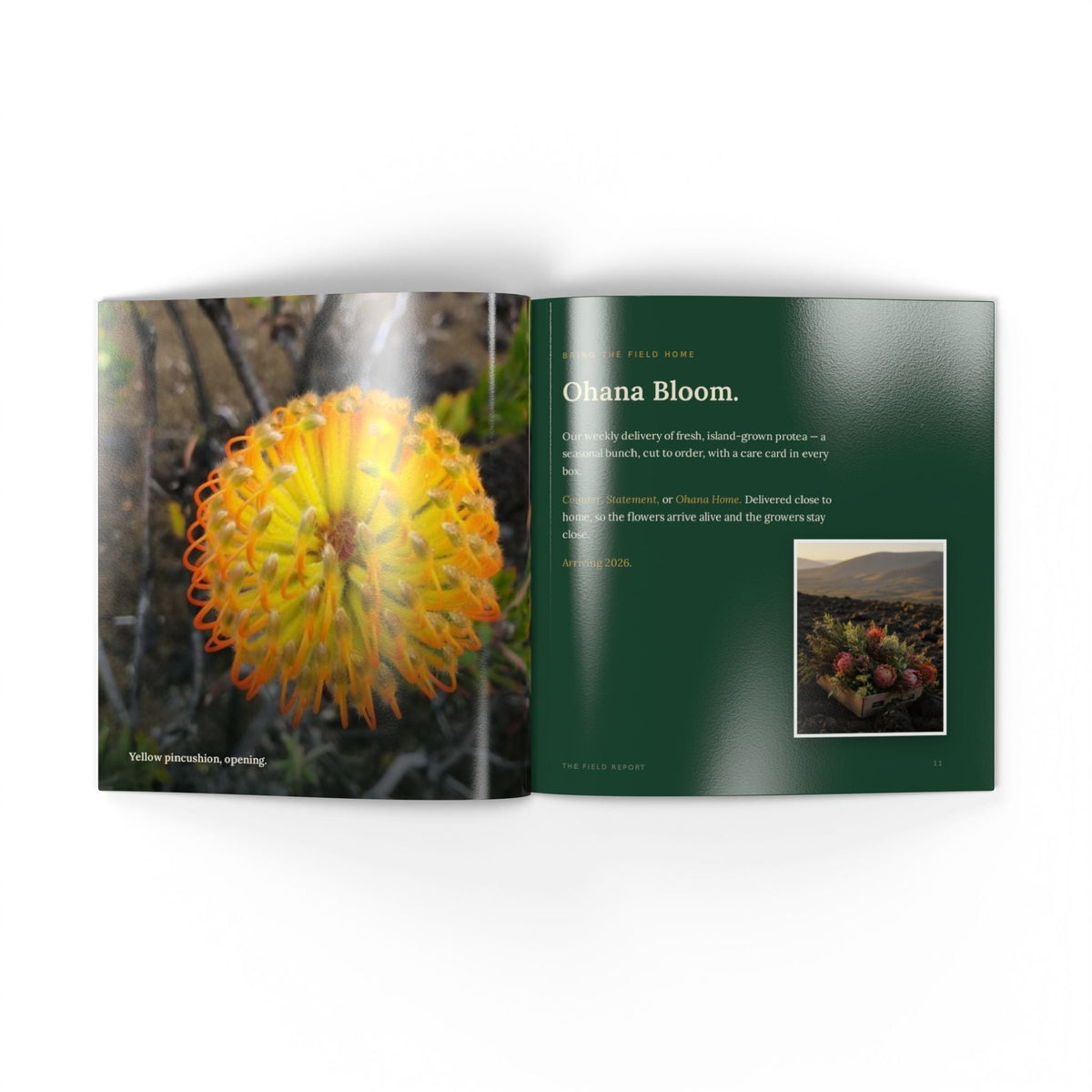 Softcover Photo Book — "The Field Report" Nature Journal Printify