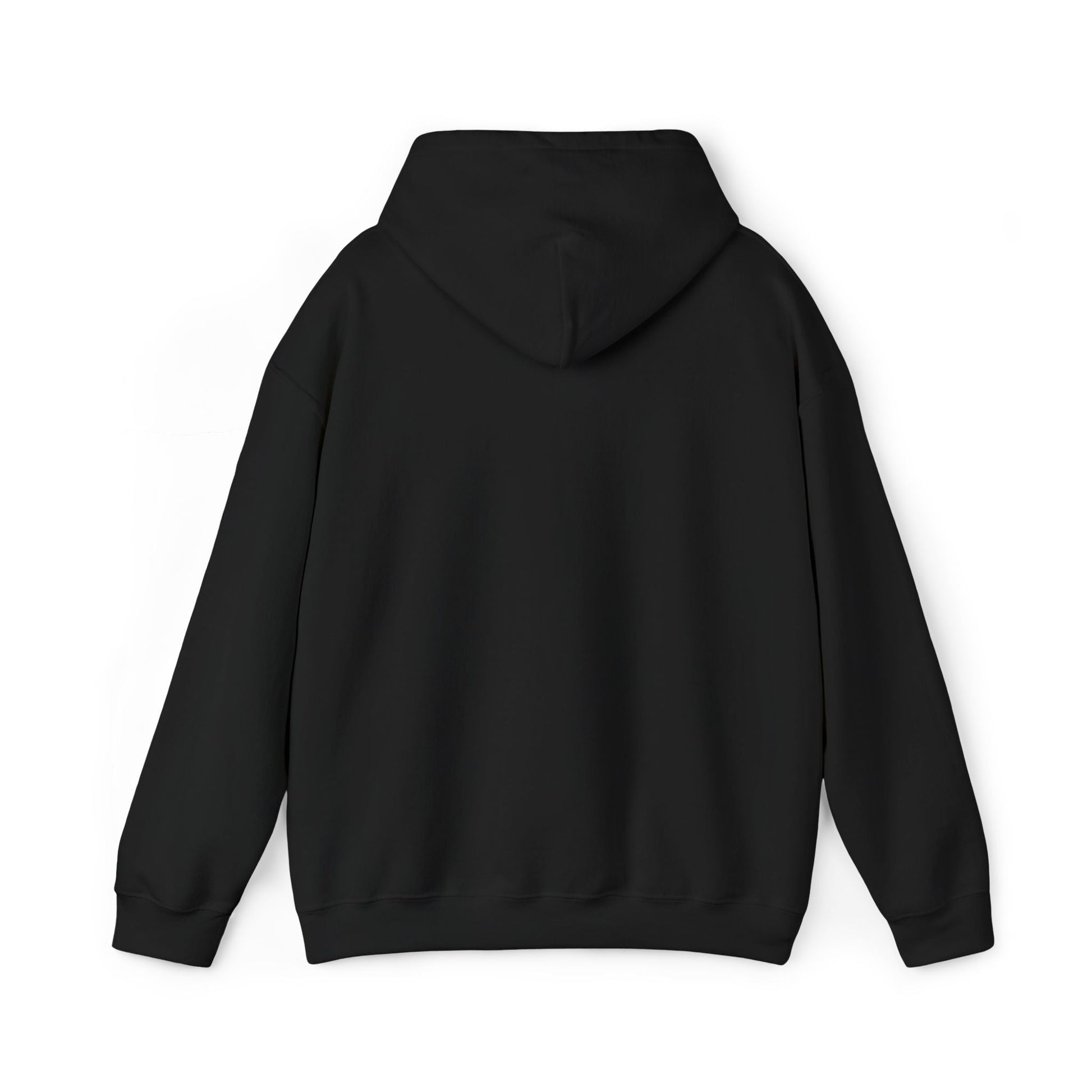 Rastafarian Leaf Block Hoodie – Reggae Colors Graphic Sweatshirt Printify