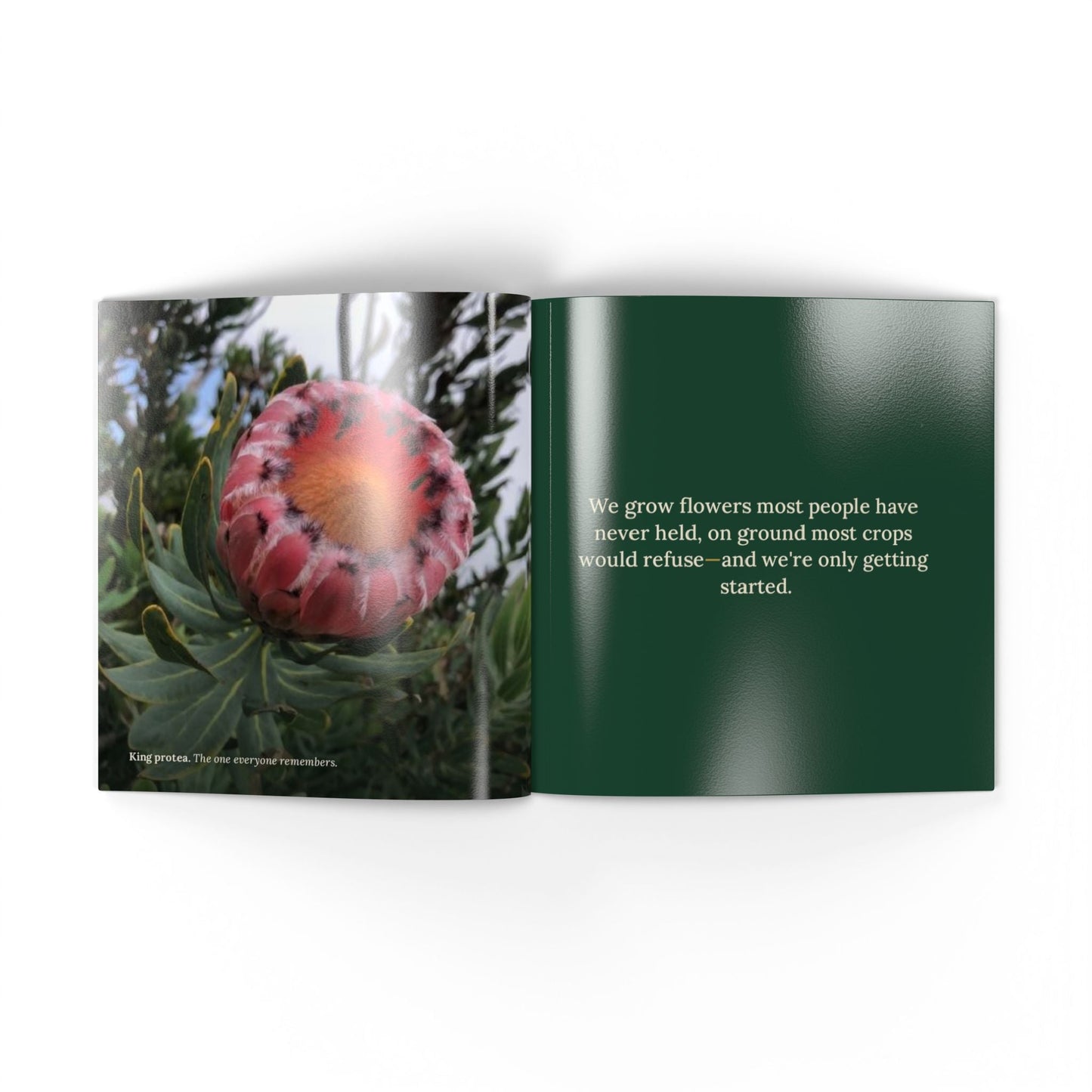 Softcover Photo Book — "The Field Report" Nature Journal Printify
