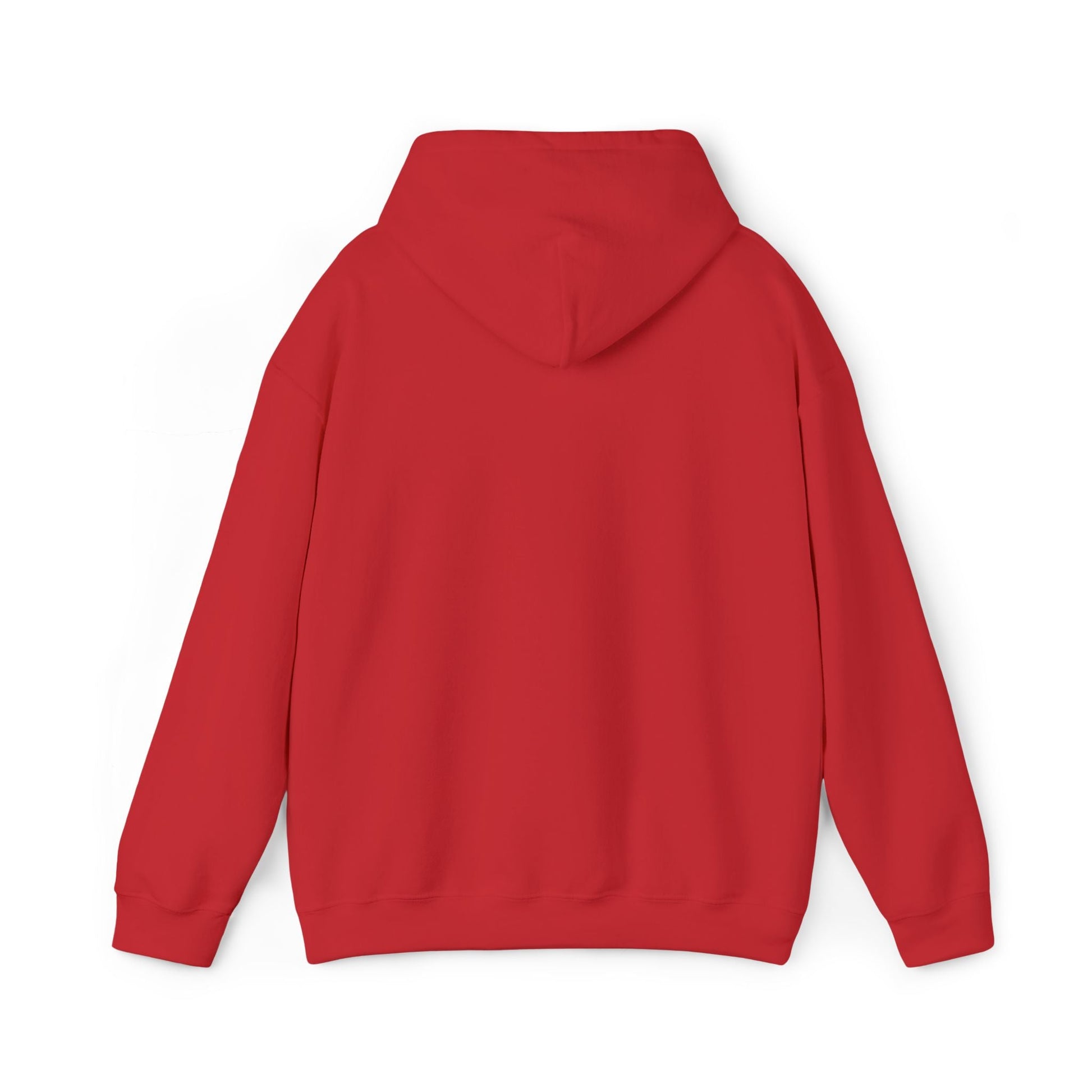 Rastafarian Leaf Block Hoodie – Reggae Colors Graphic Sweatshirt Printify