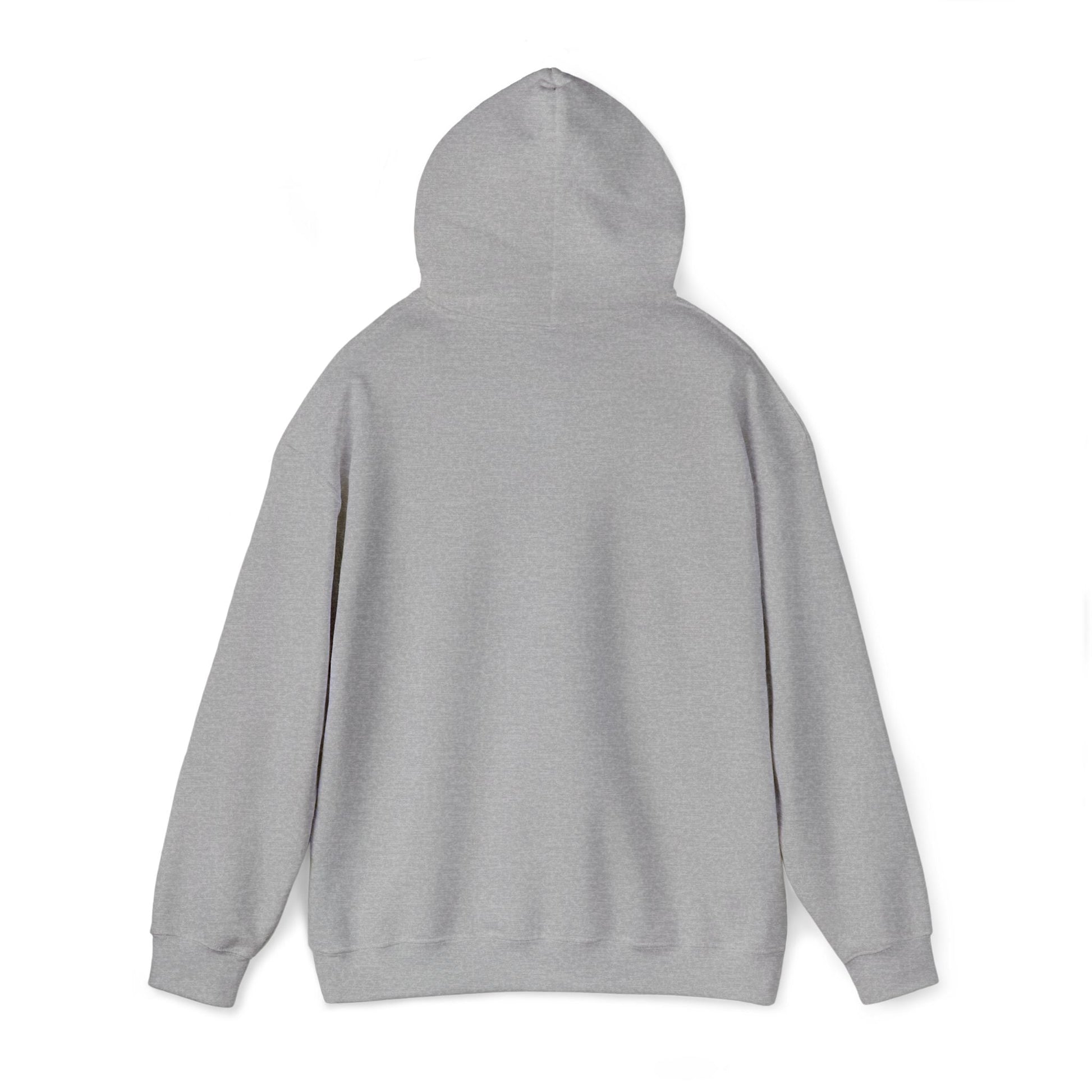 Rastafarian Leaf Block Hoodie – Reggae Colors Graphic Sweatshirt Printify